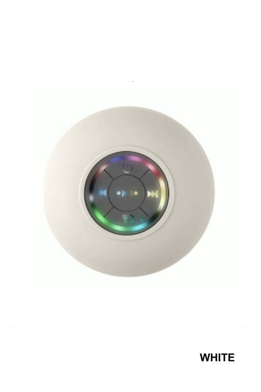 Blue Tooth Speaker