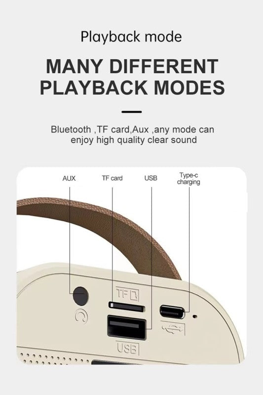 Karaoke Bluetooth Speaker Set