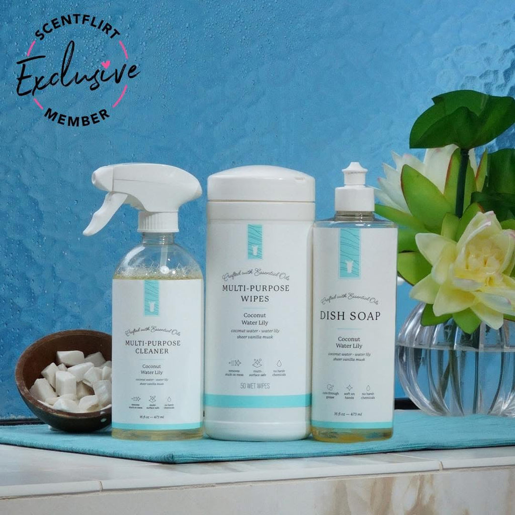 Multi Purpose Cleaners & Soaps